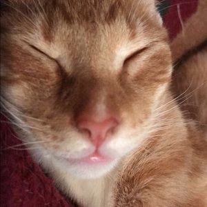 Meet your Posher, Rissy